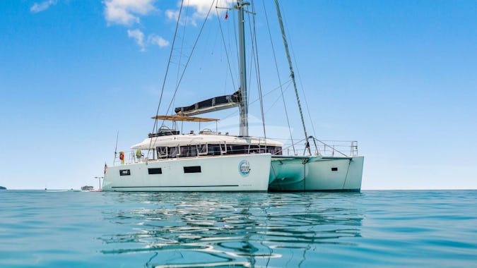 DREAM BEAUTY DREAM BEAUTY