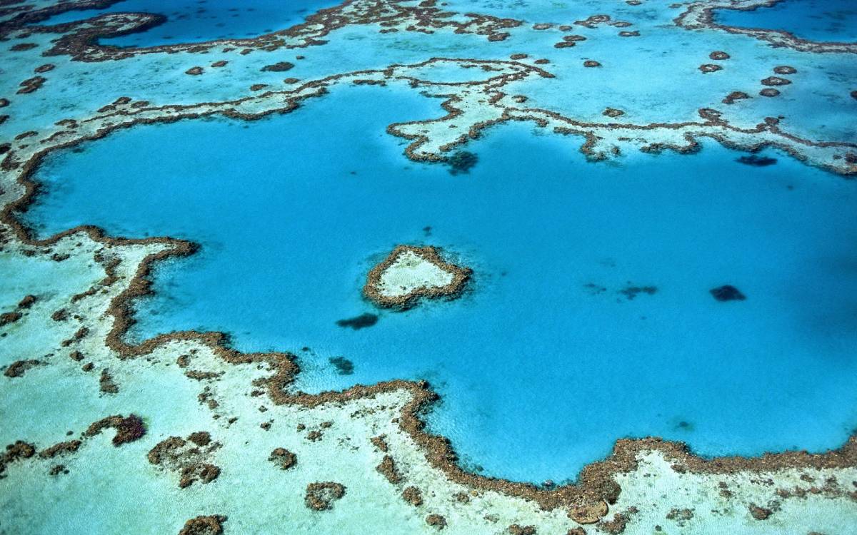 Aerial View of Coral Reef