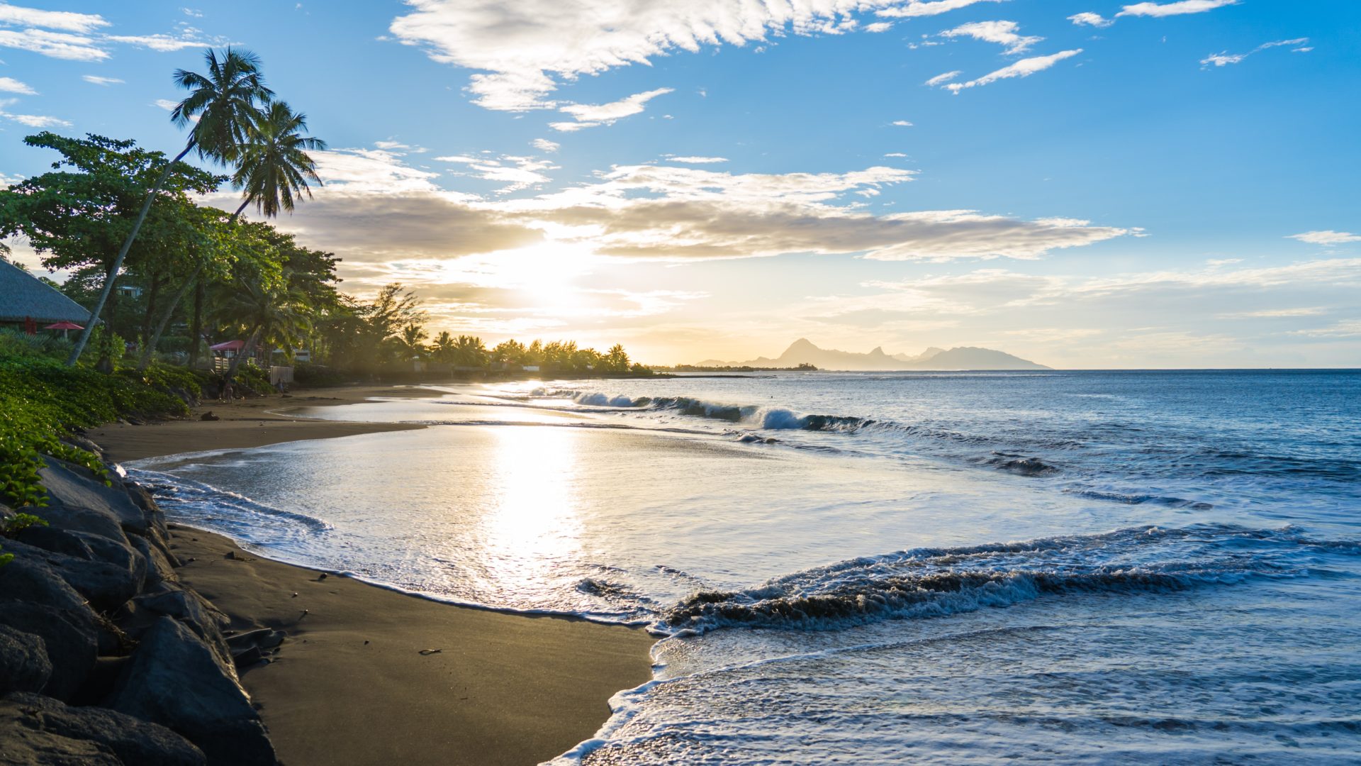 French Polynesia Ra'iatea Ocean Beach Shoreline Palm Tree TJB Superyachts